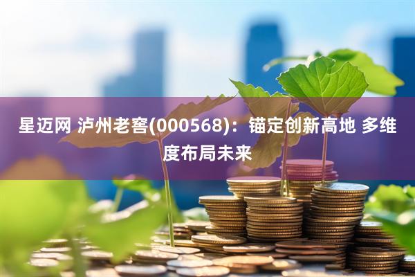 星迈网 泸州老窖(000568)：锚定创新高地 多维度布局未来