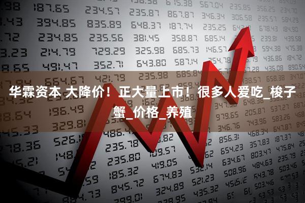 华霖资本 大降价！正大量上市！很多人爱吃_梭子蟹_价格_养殖
